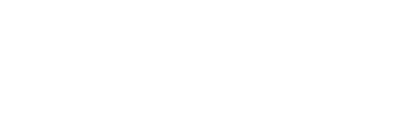 FITT logo white